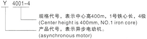 西安泰富西玛Y系列(H355-1000)高压JR148-8三相异步电机型号说明