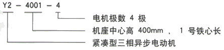 YR系列(H355-1000)高压JR148-8三相异步电机西安西玛电机型号说明